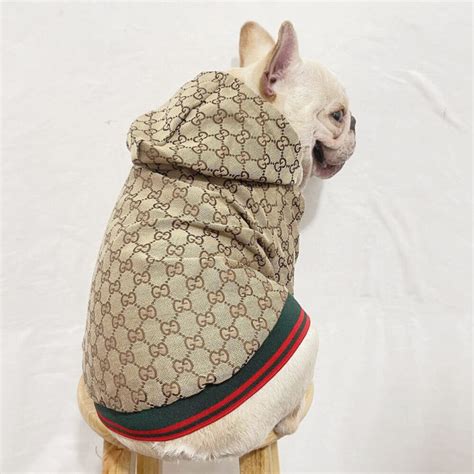 gucci pet nieuw|gucci pet clothing.